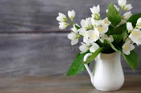 Vaso medio con narcisi bianchi. Fiori Bianchi In Un Vaso Fotografia Stock Immagine Di Bellezza 47457900