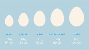 Calories In An Egg Whites Vs Yolks Protein Cholesterol