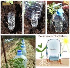 Looking for a good deal on plant dripper? Condensation Waterer For Plants Great Idea For Saving Water On Your Garden In Dry Climates Drip Irrigation Growing Vegetables Irrigation