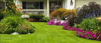 Landscaping Services In Wamego Ks