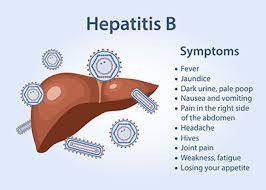 Hepatitis occurs as three different viruses — hepatitis a, b and c — and it might happen for several different reasons. Hepatitis B Virus Infektion Ubertragung Krankheiten Medlexi De