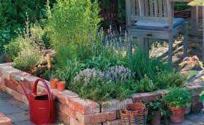 It can provide lots of homegrown produce and will help improve the appearance of your backyard stylishly. Stylish Raised Beds Finegardening