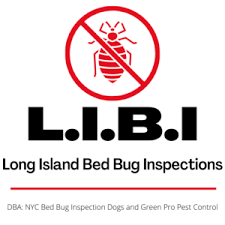 diy bed bug trap effective and