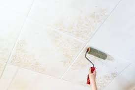 how to paint styrofoam ceiling tiles