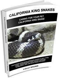 california kingsnake