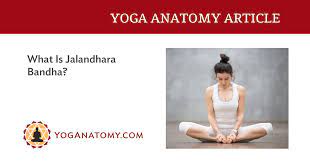what is jalandhara bandha yoganatomy