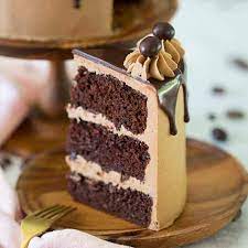 Chocolate Mocha Cake gambar png