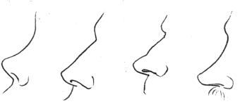 Рисунок деталей головы. Kак нарисовать нос человека? — Ghenadie Sontu Fine  Art