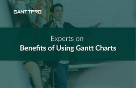 Benefits Of Using Gantt Charts Project Managers Share Their