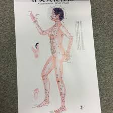 Chinese Medical Acupuncture Charts For Point Studying