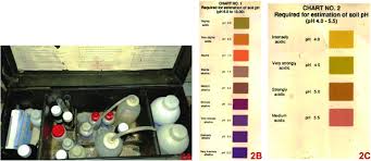 A Soil P H Measuring Kit B Chart 1 P H Level 6 0 To 10 0