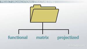Project Organization Definition Types