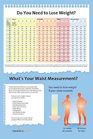Amazon Com Do You Need To Lose Weight Poster Bmi And