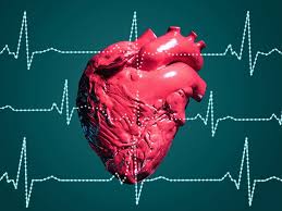 the atrial fibrillation t foods to