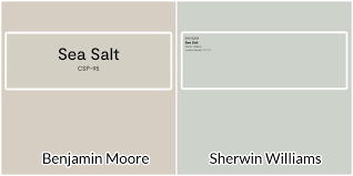 Light Gray Benjamin Moore Sea Salt Color