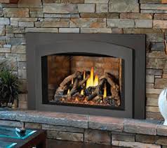 Why A Fireplace Insert We Love Fire