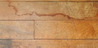 Wood Moisture Floor Restoration