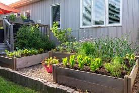Vegetable Garden Ideas For Small Spaces