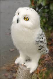 Needle Felted Snowy Owl Imagine God And All That We See Is