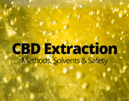 The purpose of cbd extraction is quite simple; Cbd Extraction Methods Updated For 2020 Active Botanical Co
