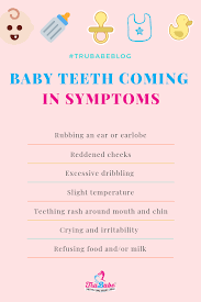 When Do Babies Get Teeth Tooth Chart Teething Rash Teeth