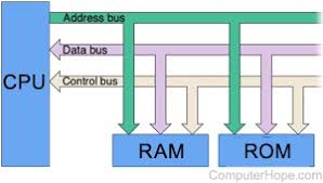 Main computer bus that determines data transfer rate speed and is the primary data transfer path between the cpu, ram and other motherboard devices. What Is A Bus