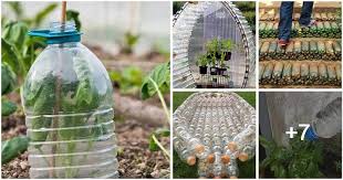 useful plastic bottle garden projects