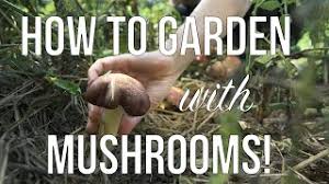 gardening and growing mushrooms how