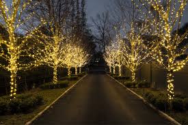 Decorate With Outdoor Lights