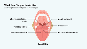 tongue problems symptoms causes