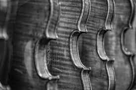 Potter Violins gambar png
