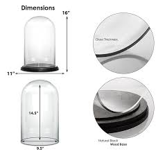 Large Glass Cloche Display Dome Black
