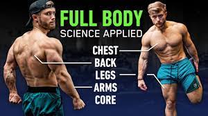 full body workout for muscle growth