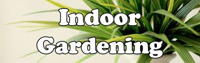 Indoor Gardening Meadows Farms