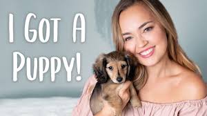 Things that make you go aww! My New Puppy Miniature Dachshund Puppy Haul Youtube