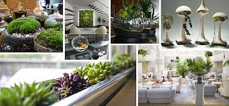 Indoor Gardening Ideas To Beautify Your