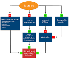 Exercise And Cognitive Health