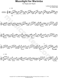 Beethoven also broke convention by starting his sonata with a sloooow movement. Ludwig Van Beethoven Moonlight For Marimba Moonlight Sonata First Movement Sheet Music In A Minor Download Print Sku Mn0119051