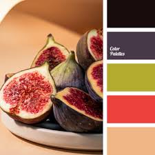 wine color color palette ideas