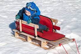 the 5 best sleds of 2024 reviews by