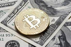 Where will bitcoin's price go next?. Will Investing 100 In Bitcoin Make Me A Millionaire Quora