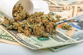 Get your colorado medical marijuana card. Mmj Card Savings How Much Cheaper Is Medical Pot Than Retail Westword