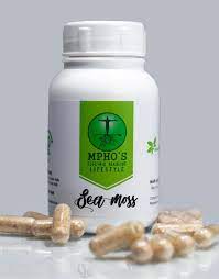 Sea moss, also known as irish moss, has gained popularity recently as a dietary supplement, though it's been used for centuries for its vitamins in this article, you'll learn about sea moss history, health benefits, how much to take daily, and how to make and use sea moss gel. Sea Moss Capsules Mpho S Electric Alkaline Lifestyle