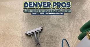 the 1 carpet cleaning in denver co