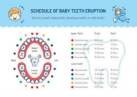 A Complete Guide To Teething Smartsimplemom