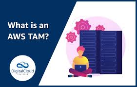 What Is An Aws Tam