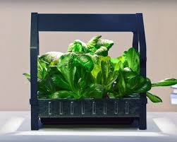 Ikea Launches Indoor Garden That Can