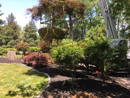 How to pursue a career as an arborist. M Labare Certified Arborist Llc Home Facebook