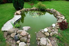 How Ponds Benefit From Pre Filtration