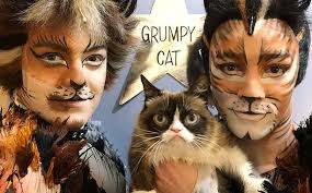 grumpy cat makes broadway debut with